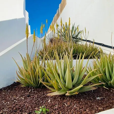 Semesterbostad Tenerife365 Atalaya Court B Sunset Ocean View Costa Adeje (Tenerife)
